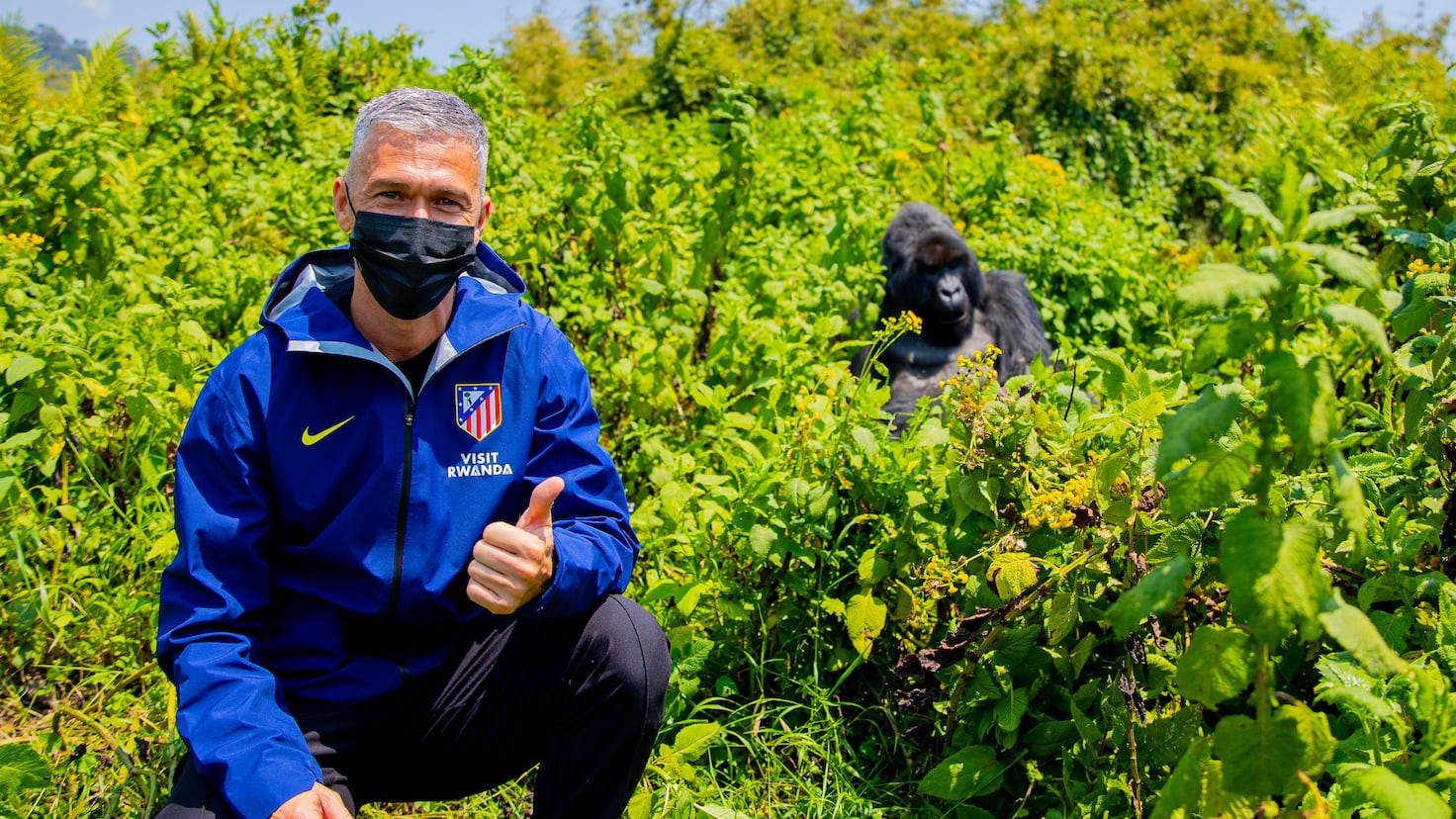 El Atlético: Un Aliado en la Conservación de Gorilas en Ruanda